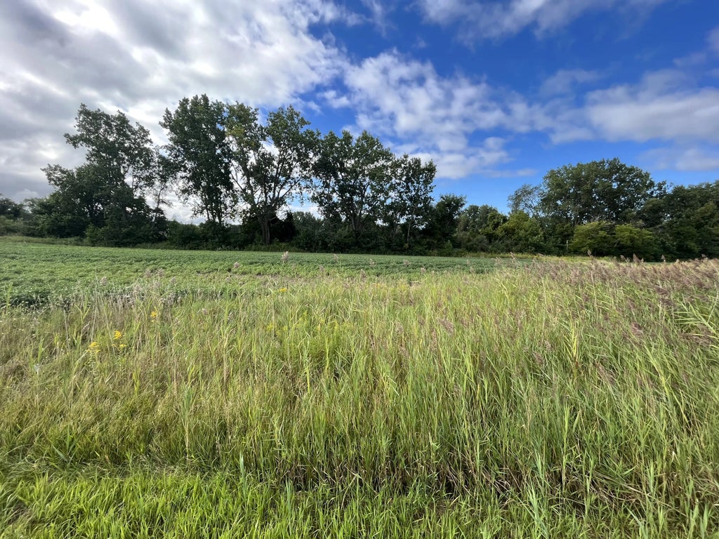 3431 E Fitzsimmons Rd, Oak Creek