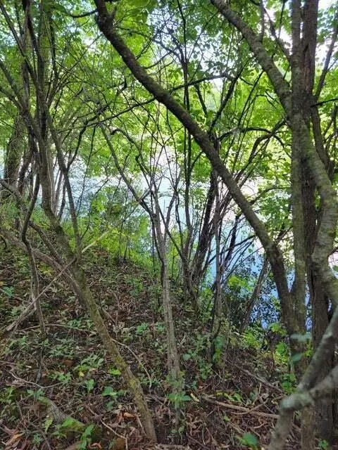 Lt1-3 Road L -, Merton