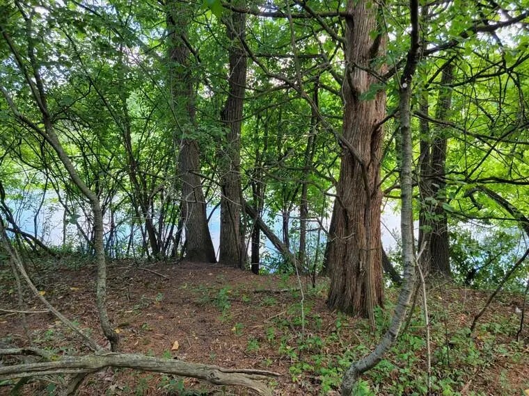 Lt9-13 Road L -, Merton