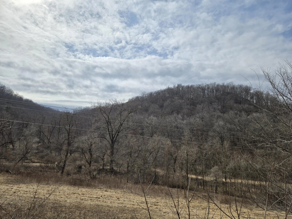 E4634 Dodson Hollow Rd -, Coon