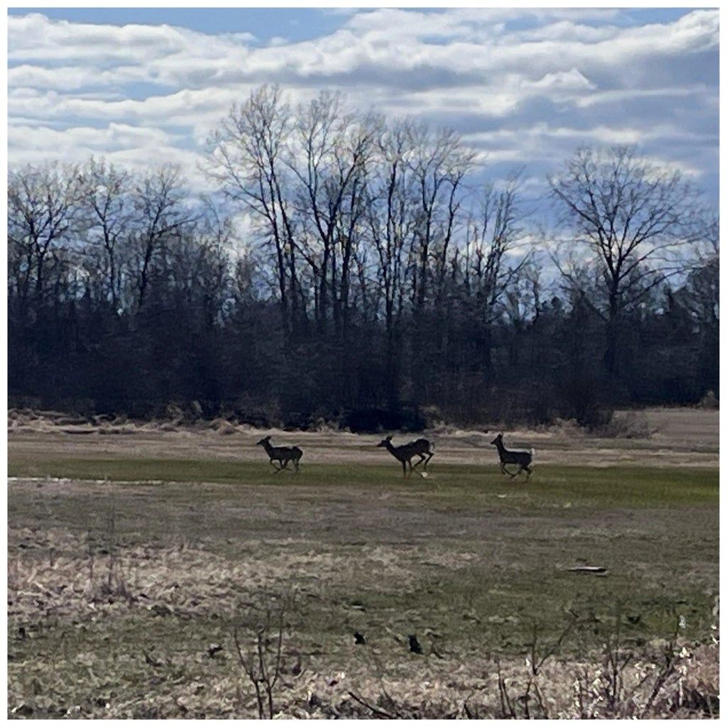 Lt3 Virginia Dr, Manitowoc