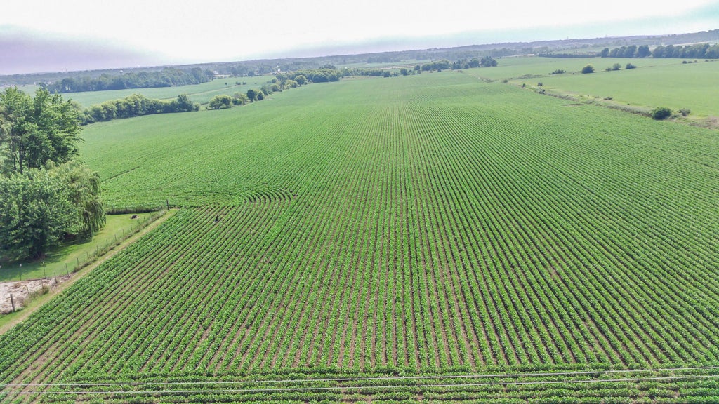 Lt1 Mayfield Rd, Polk