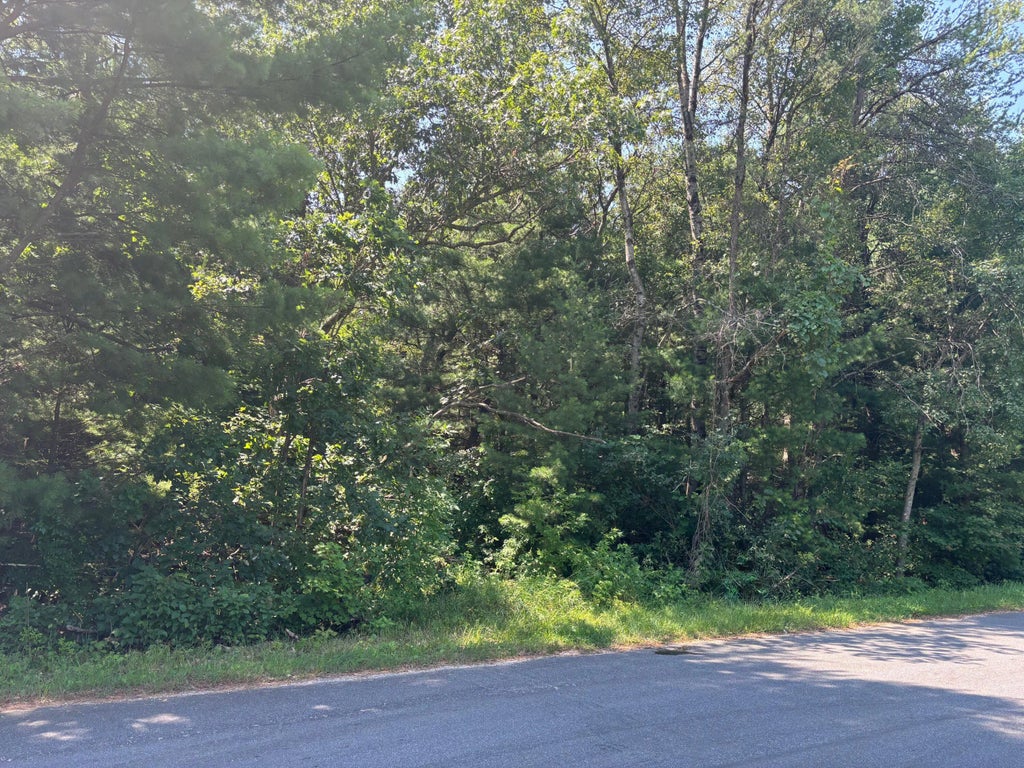 1107 Fawn Ct, Springville