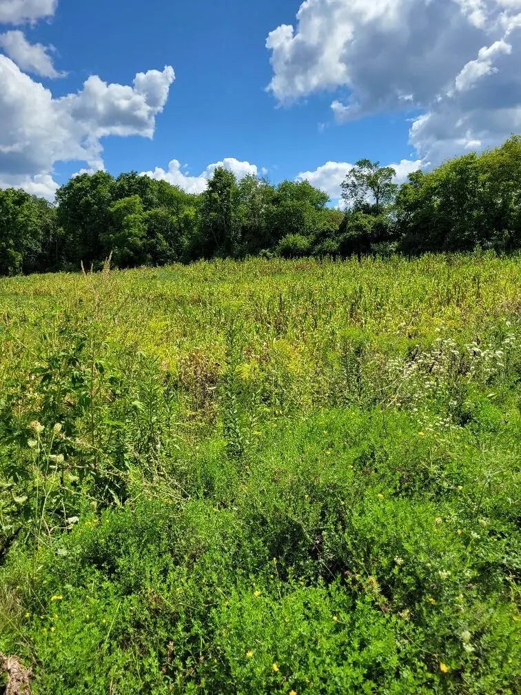 Lt0 Maple Ave, Sussex