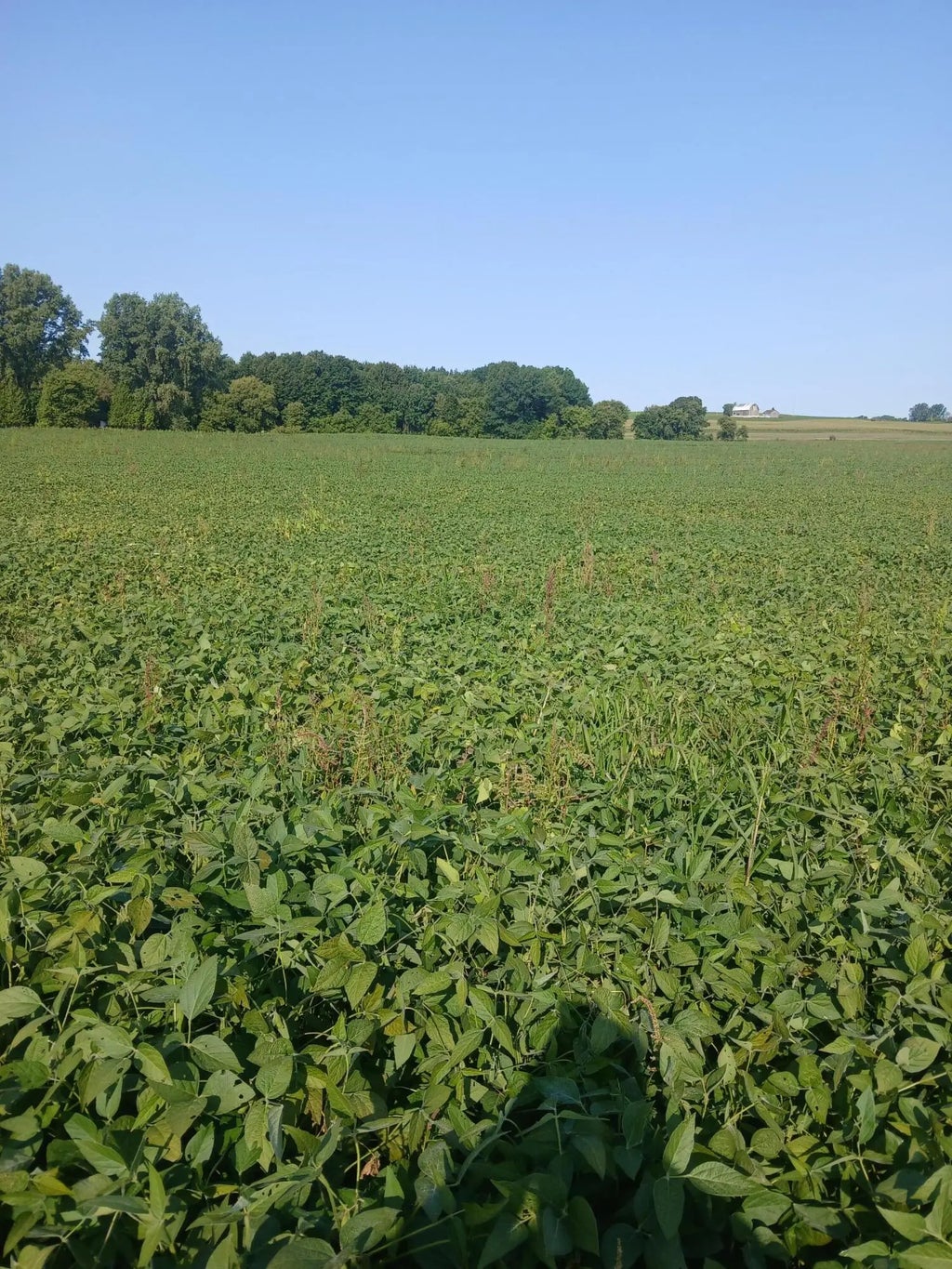 Lt0 County Road T -, Franklin