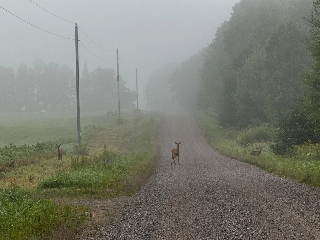 N2179 Schalk Rd, Ogema