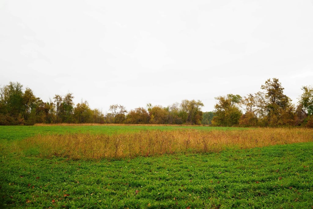 Lt2 County Road As -, Adell