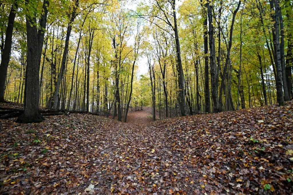 Lt3 County Line Rd, Merton