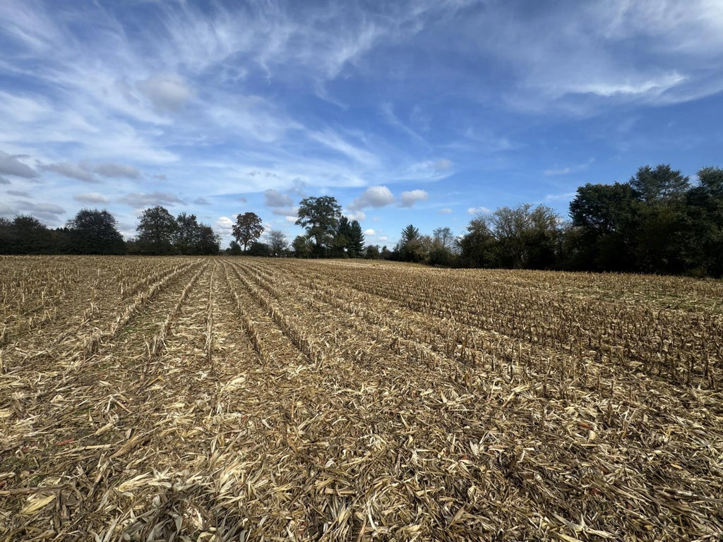 Lt10 Leo Ln, Big Bend