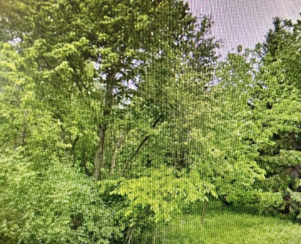 Lt1 County Highway Cc -, Polk