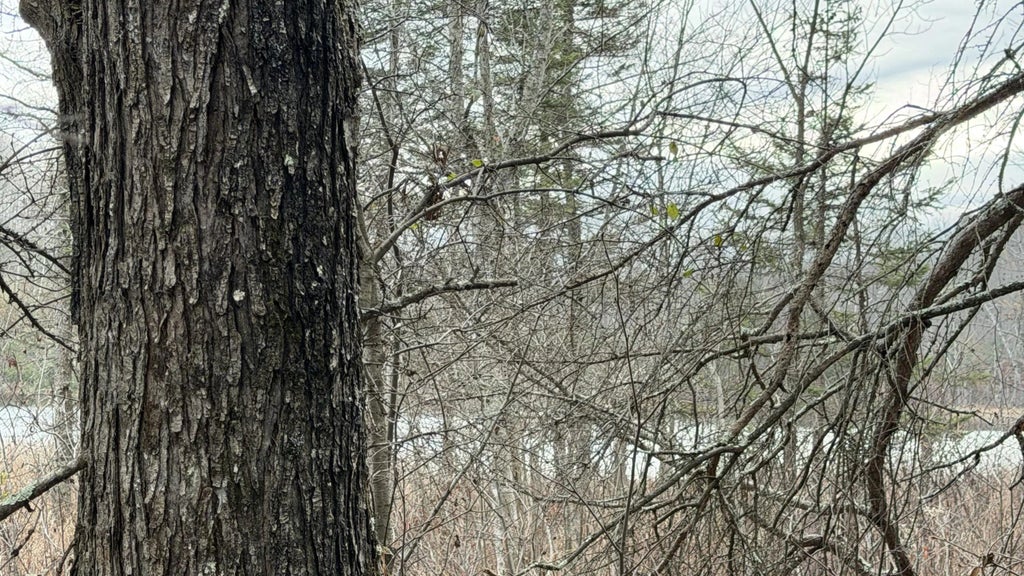 Lt3 Boat Landing 11 Rd, Silver Cliff