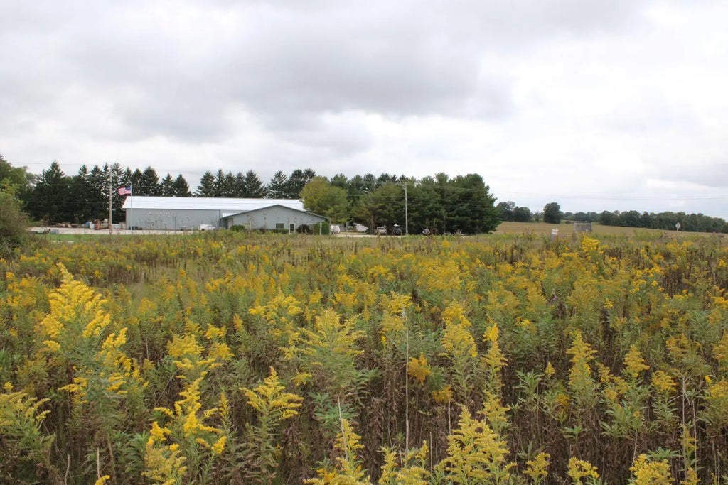 Lt2 Rolling Hills Dr Lt3, Rubicon