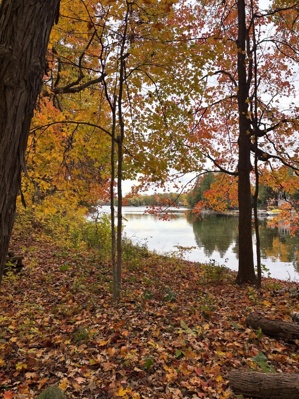 N7329 County Road Cj - Lt2, Rhine