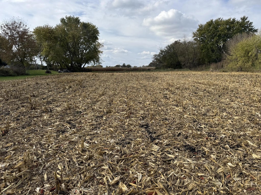 Lt1 Leo Ln, Big Bend