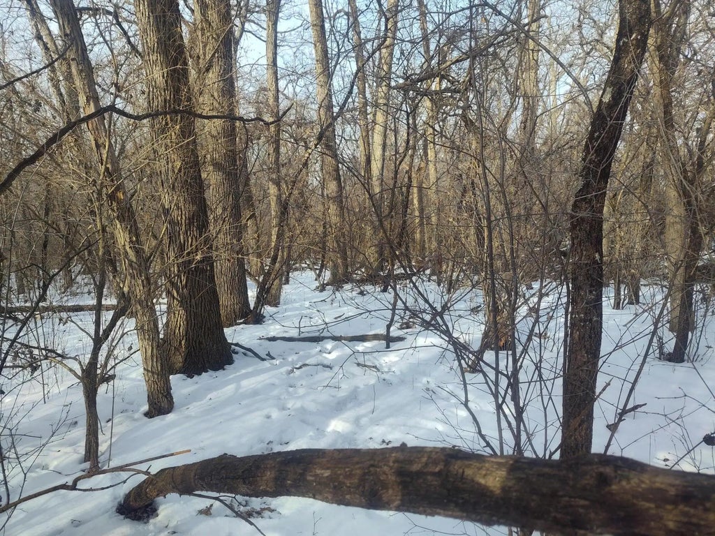 Lt11 109th St, Salem Lakes