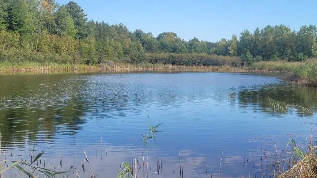 N/A, Peshtigo