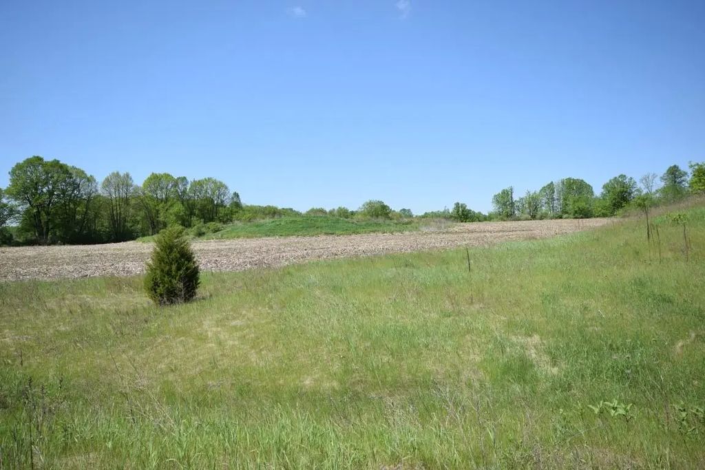 Lt2 Spring Ct Csm5655, Newburg