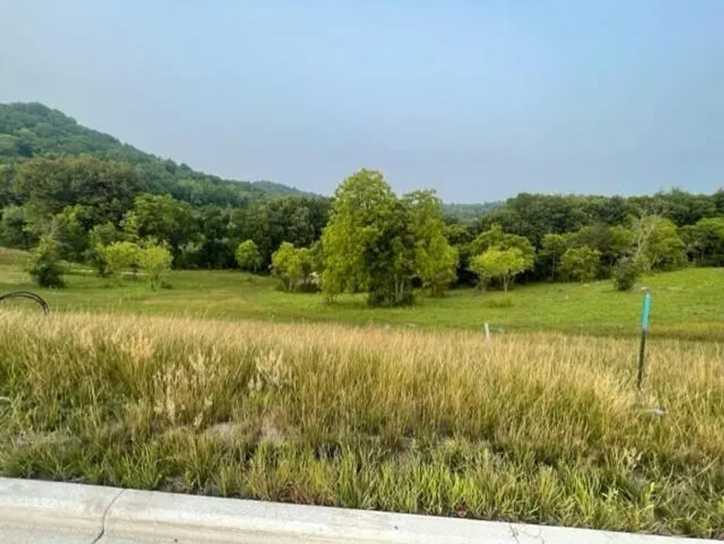 Lot 48 Madison Heights Dr, Onalaska