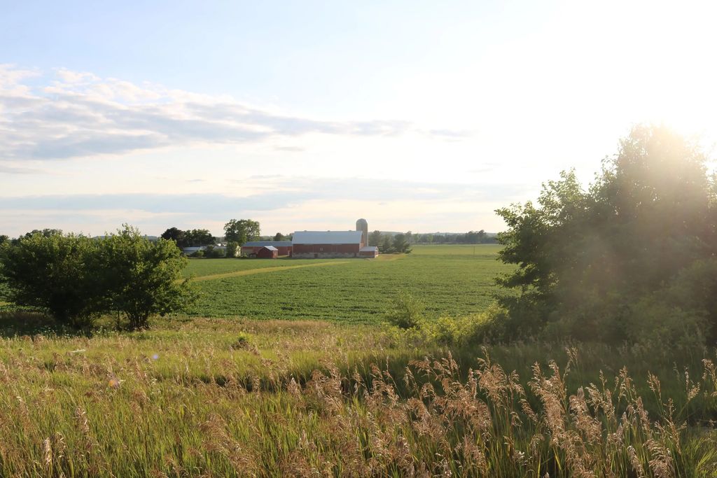 Lt263200 E Hancock Rd, Emmet