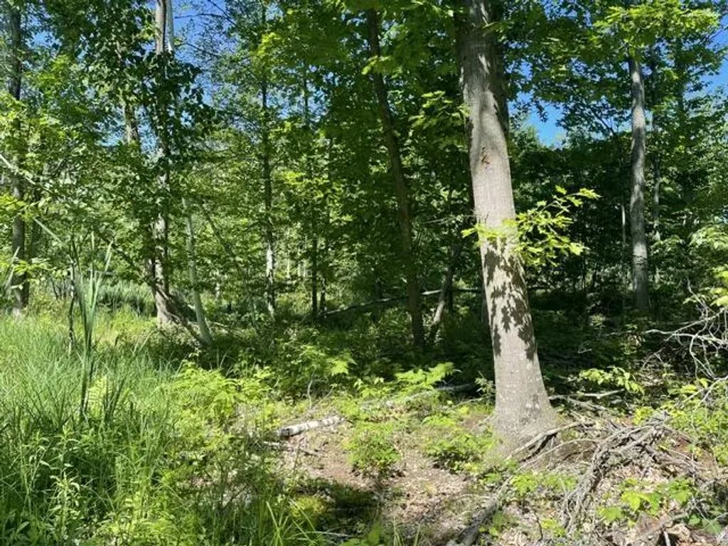 Cty Shawano Line Rd, Green Valley