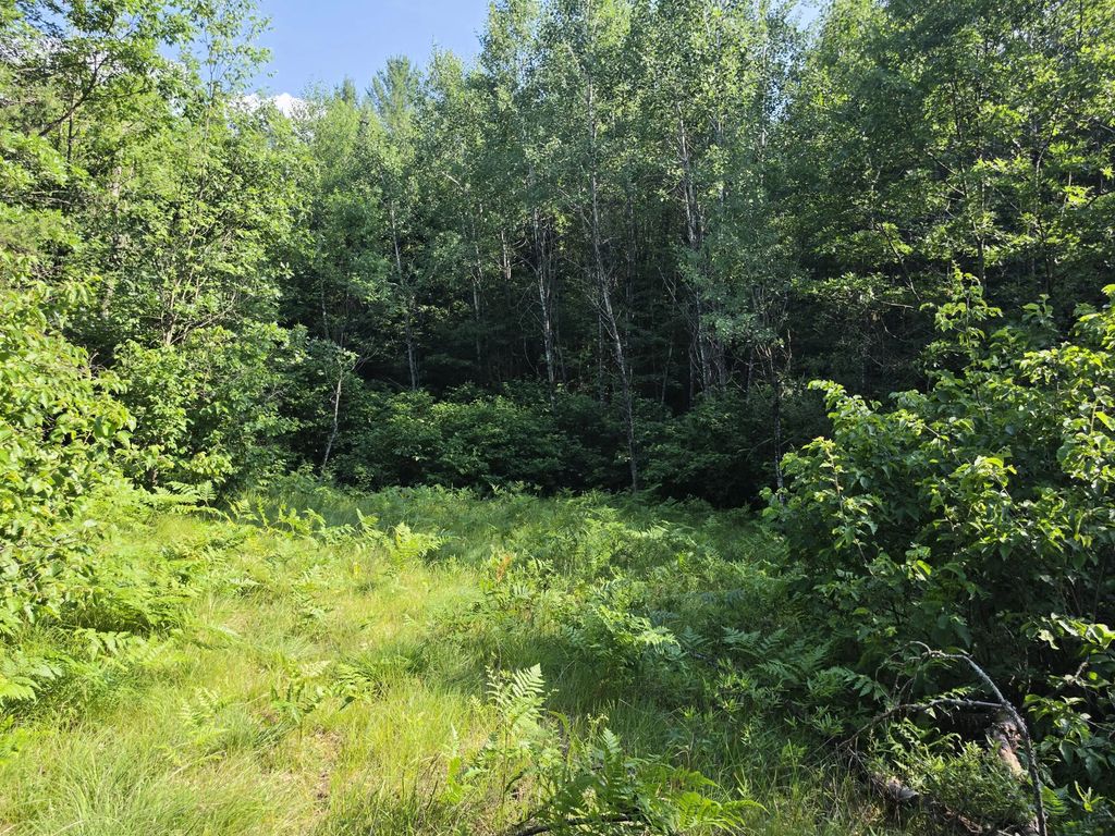 Lt1 Oak Ridge Rd 4.62 Acres, Amberg