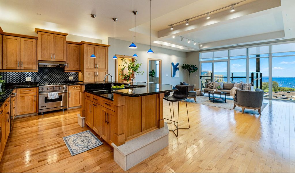 1313 N Franklin Pl 905, Milwaukee