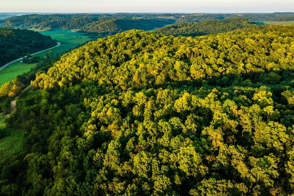 6833 State Road 80 -, Pulaski