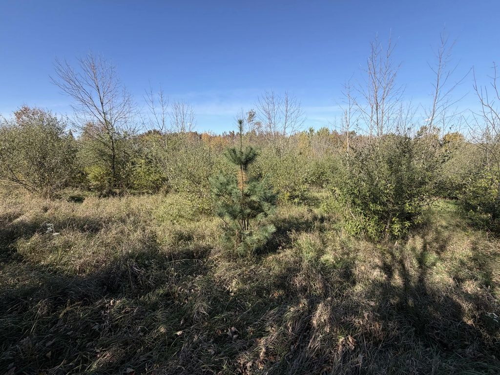 Lot 31 Woodland Ln, Webster
