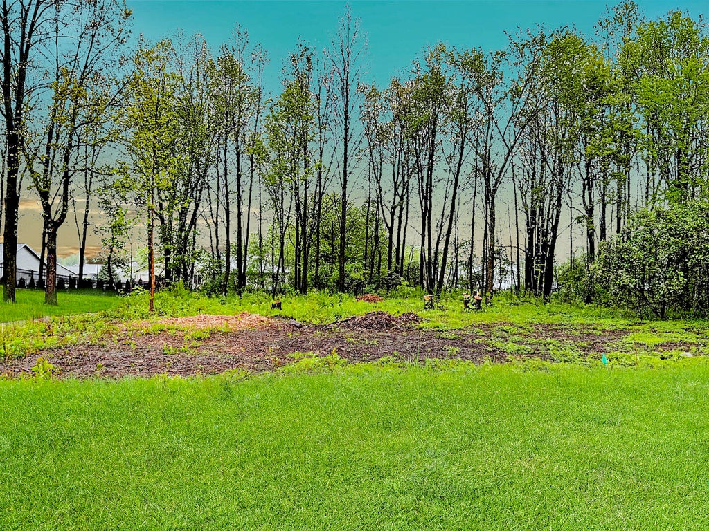 1132 Lisa, New Holstein