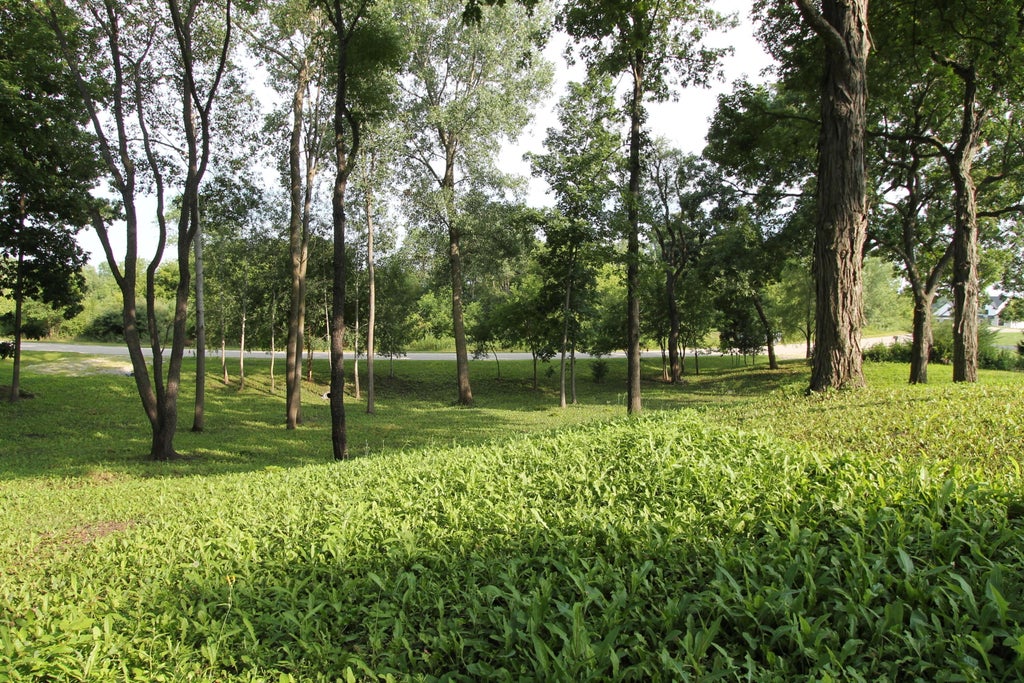 6824 Horseshoe, Burlington