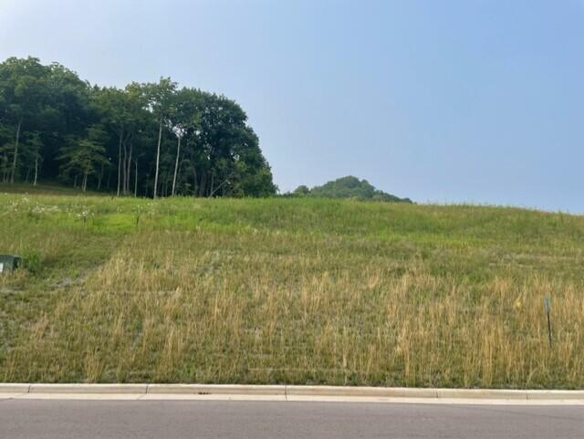 Lot 51 Madison Heights, Onalaska