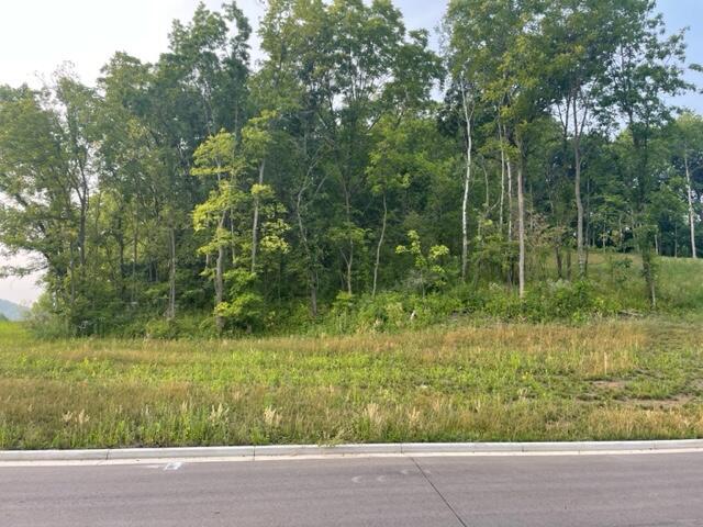 Lot 53 Madison Heights, Onalaska