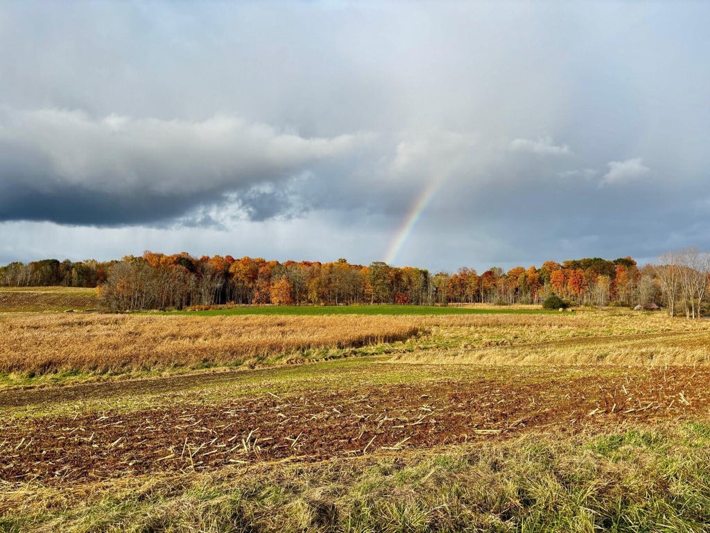 Lt1 Garton, Hermantown