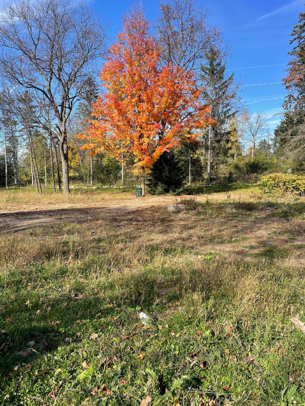 1055 Park Lt3, Delafield