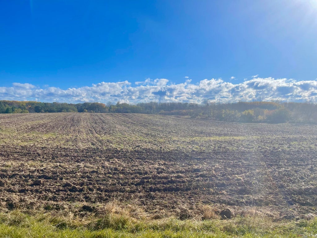 1788 Lake Shore Rd, Grafton