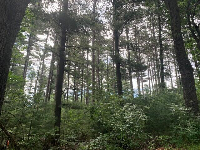 22.35ac On Beaver, Big Flats