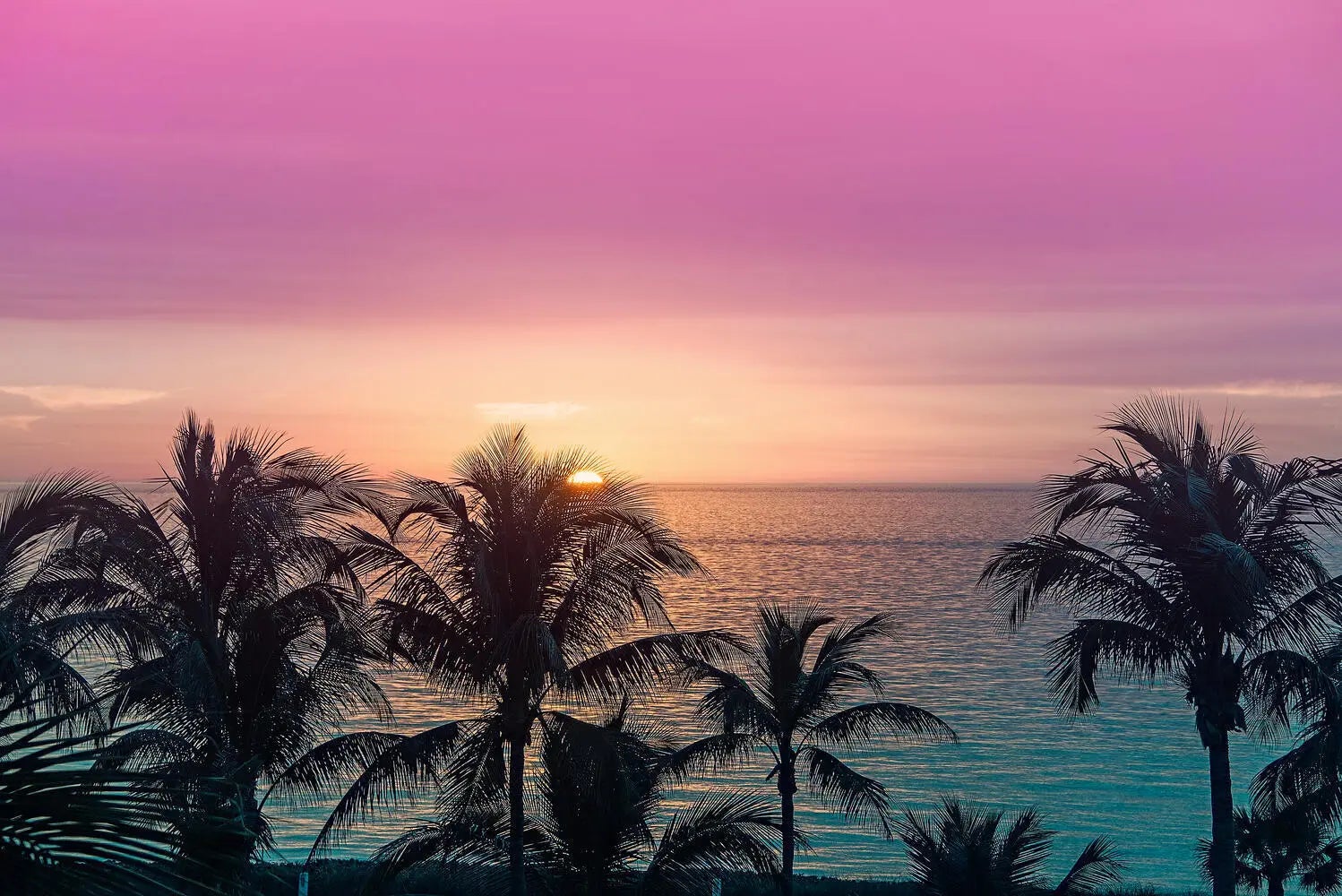 Photo of Listing #2251443