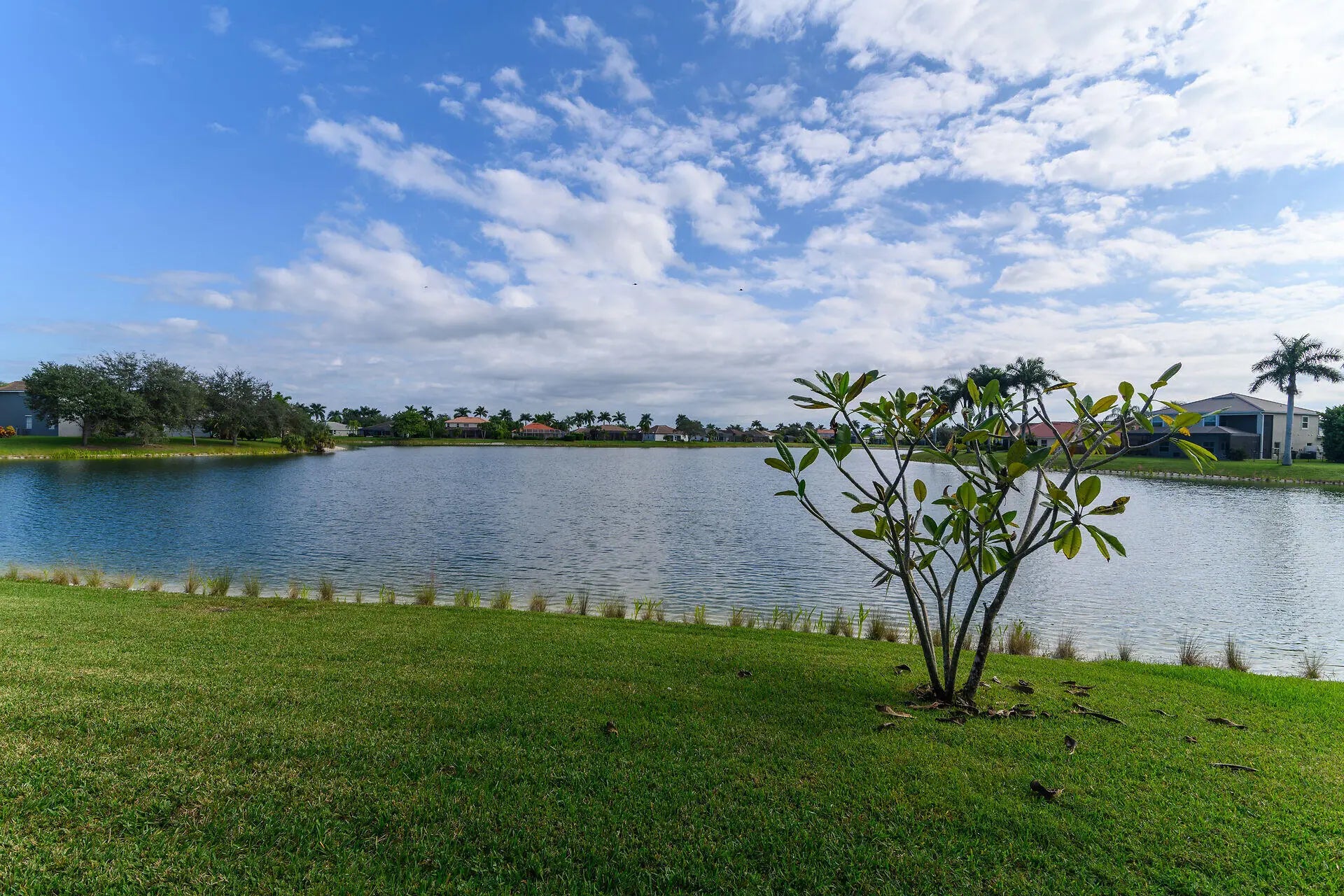 Photo of Listing #2252158