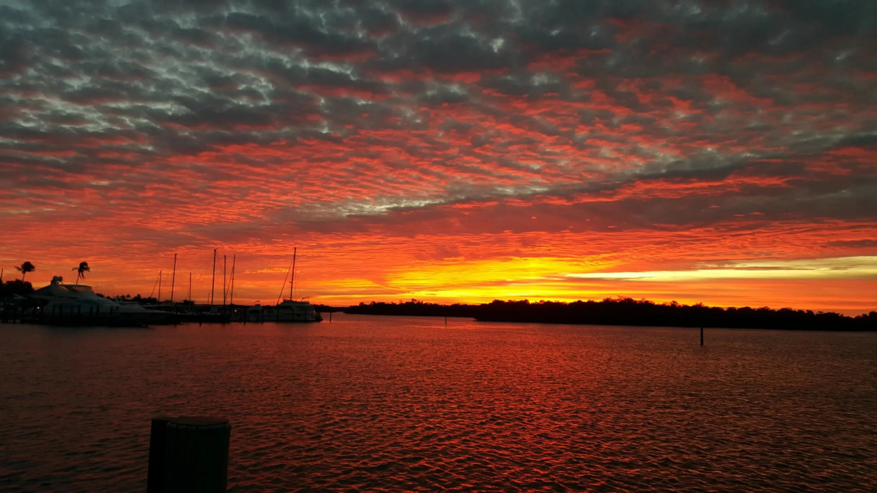 Photo of Listing #2260150