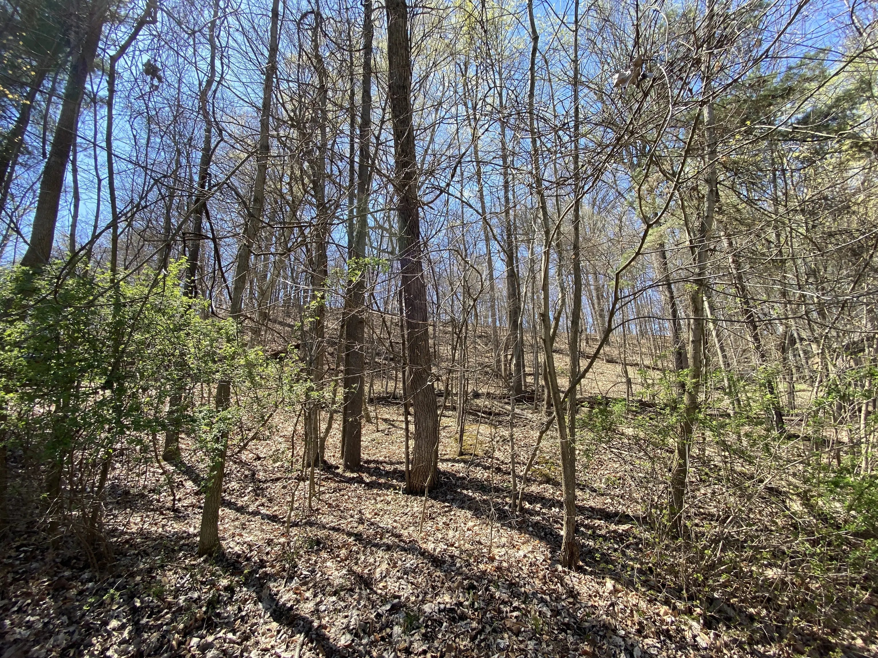 N Oxford Court, Martinsville