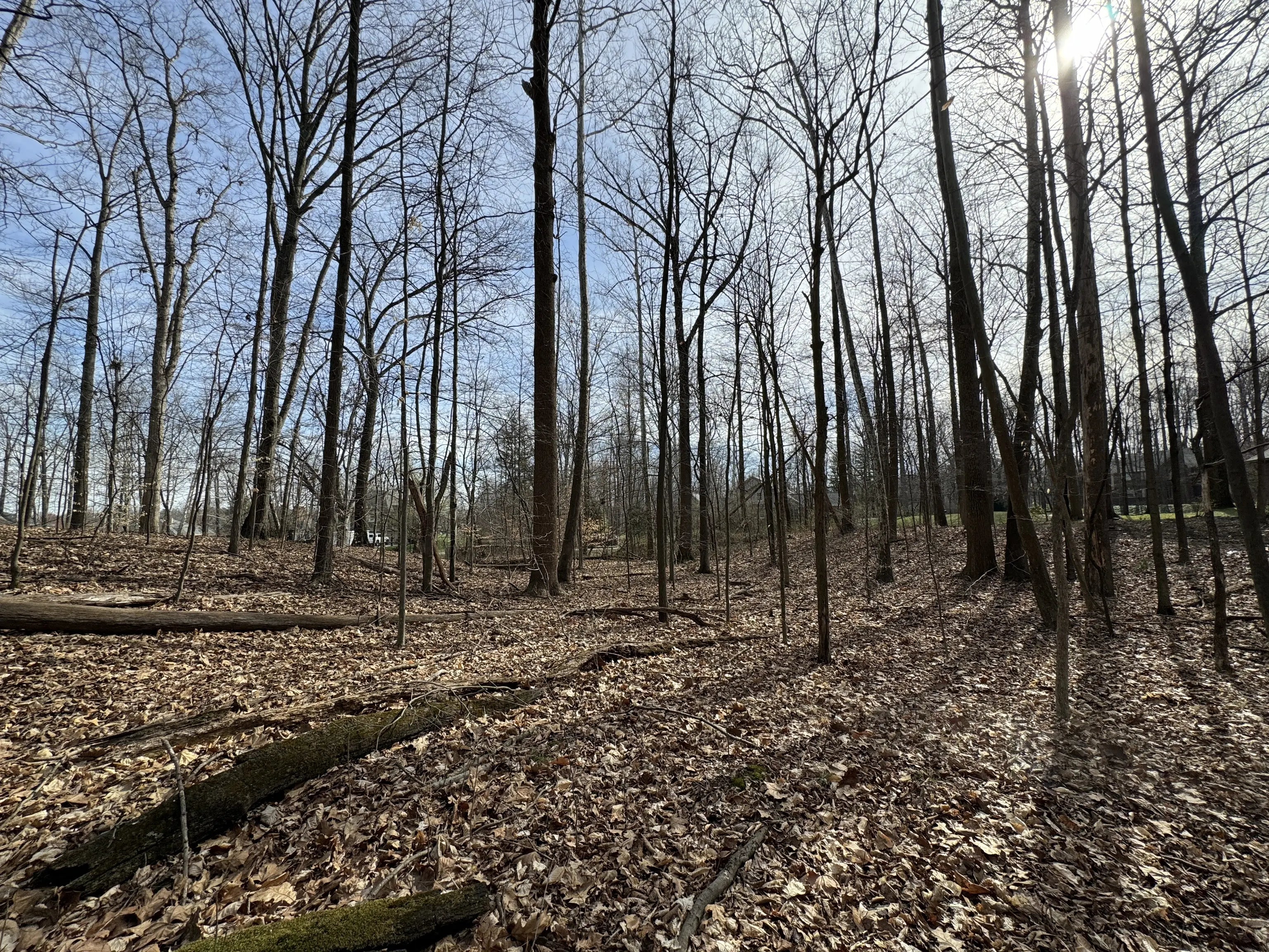 3060 N Country Club Road, Martinsville