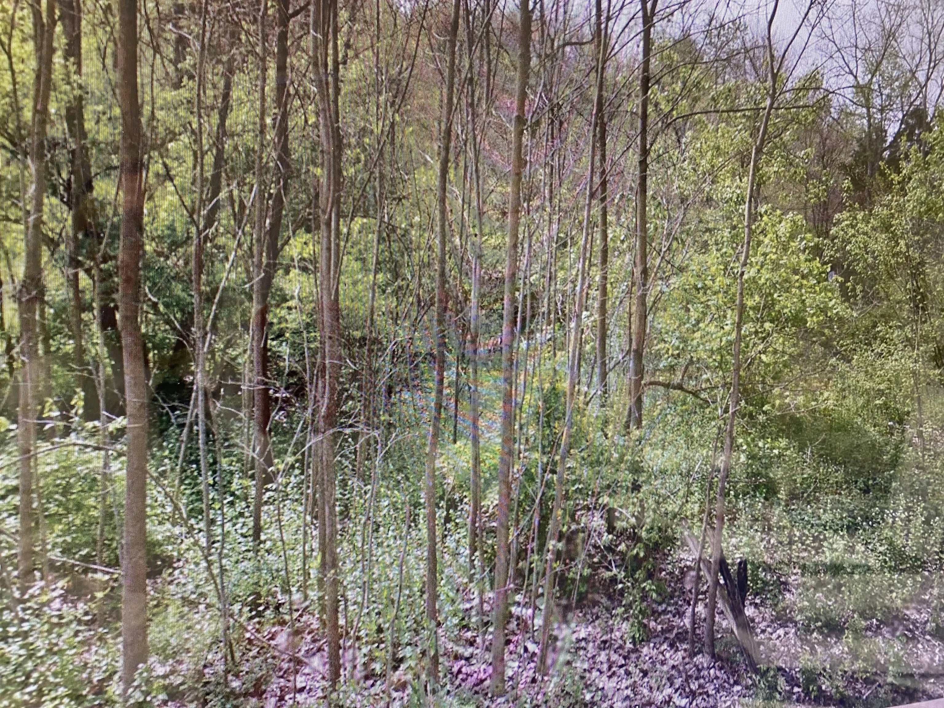 Photo of Barber Road West Harrison, IN 47060