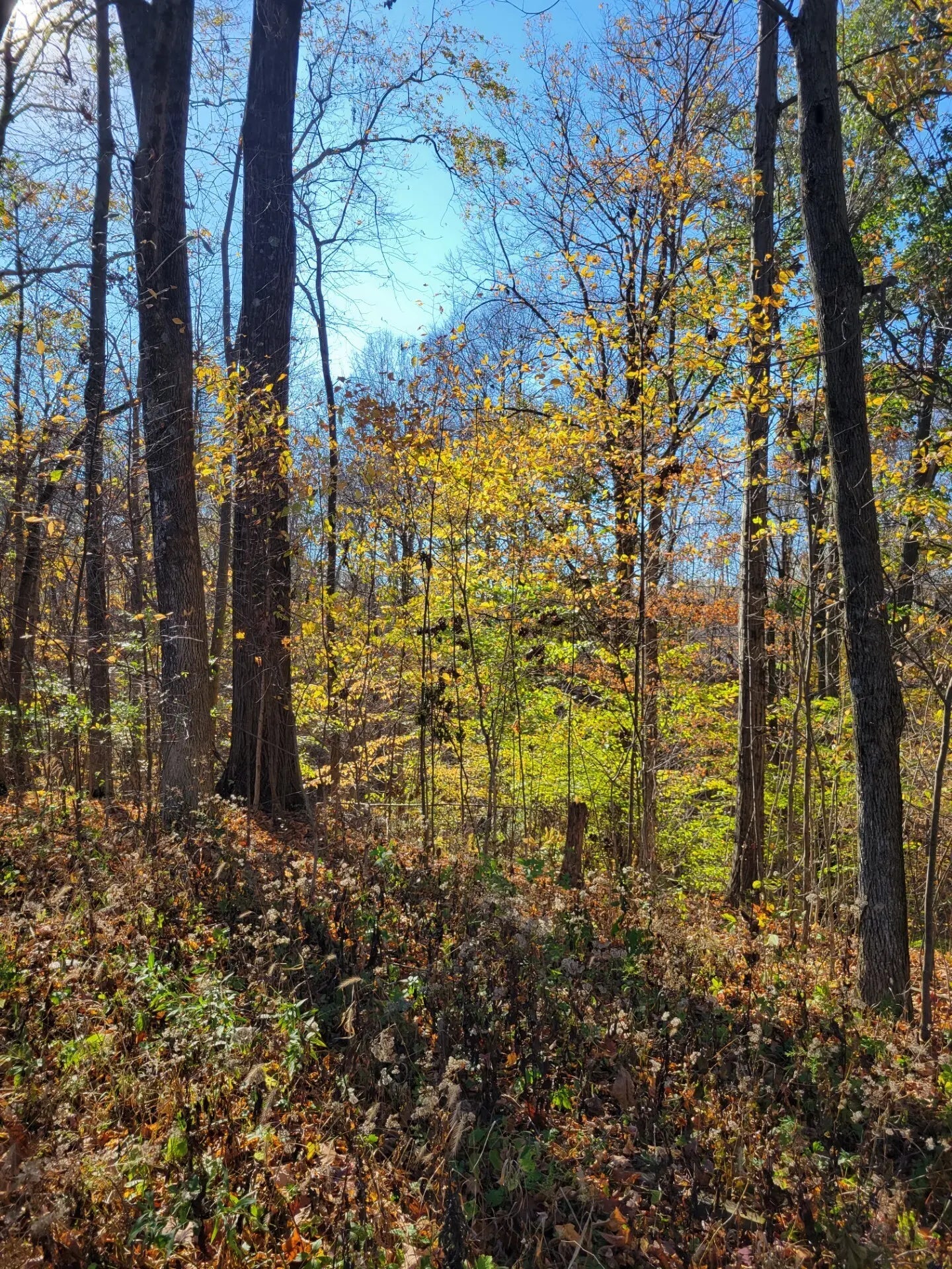 Photo of Valley Drive Drive Greencastle, IN 46135