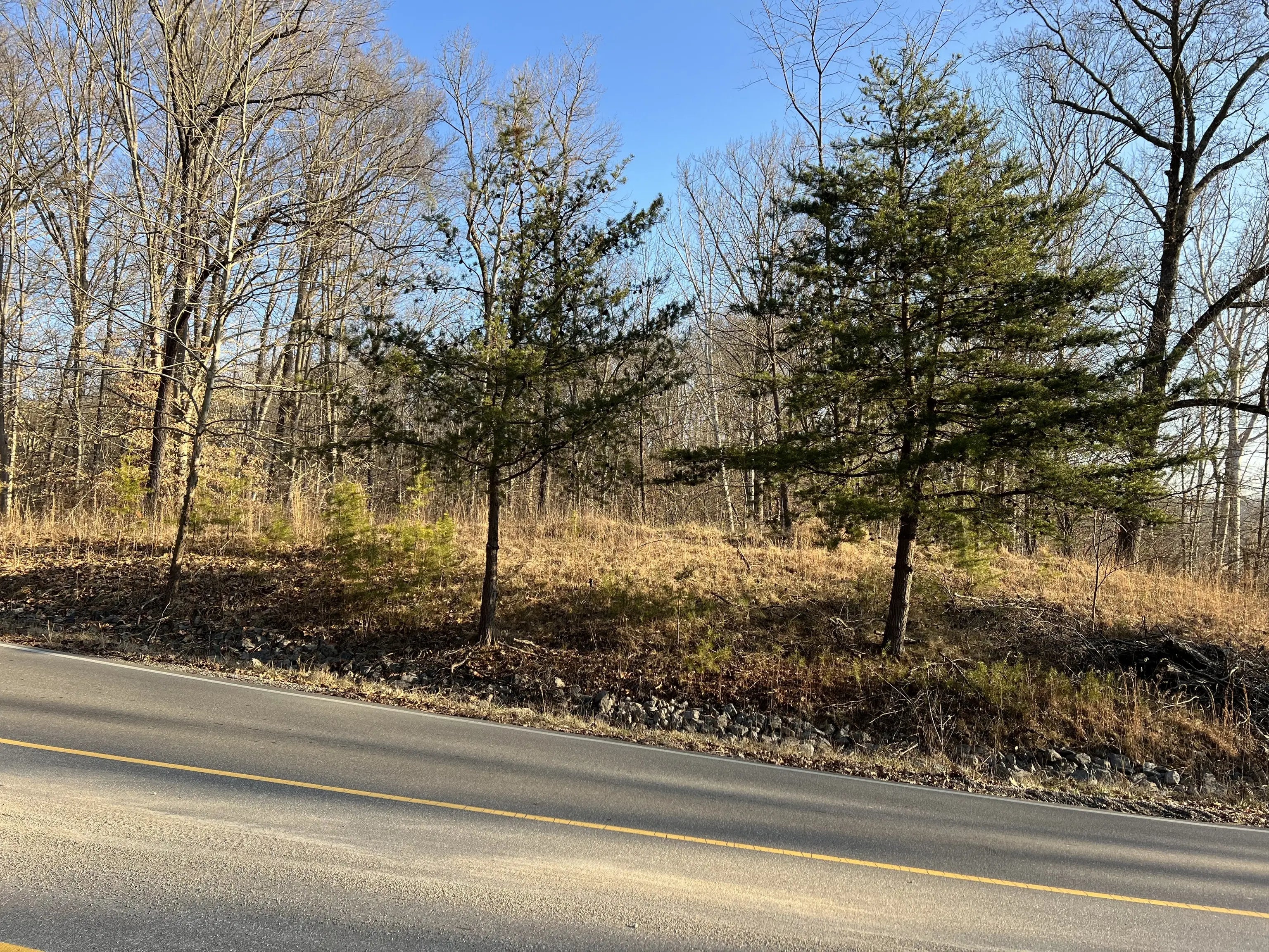 Photo of Helmsburg Road Nashville, IN 47448