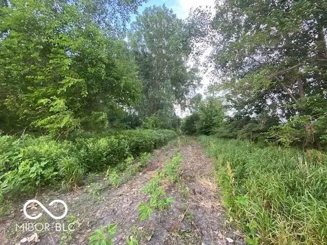 Photo of 5790 Adj S Cr 600 W Yorktown, IN 47396