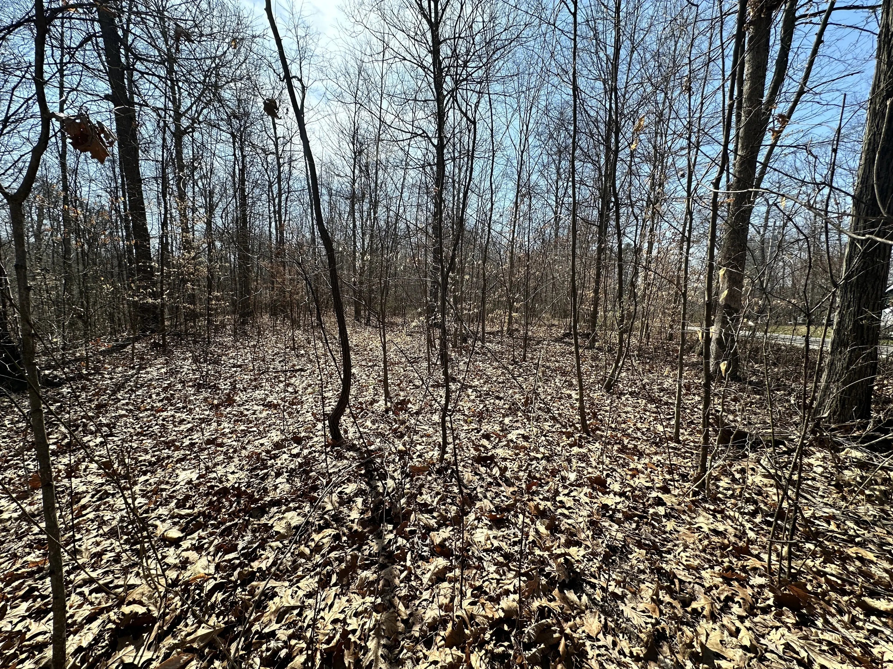 Middle Patton Park Road, Martinsville