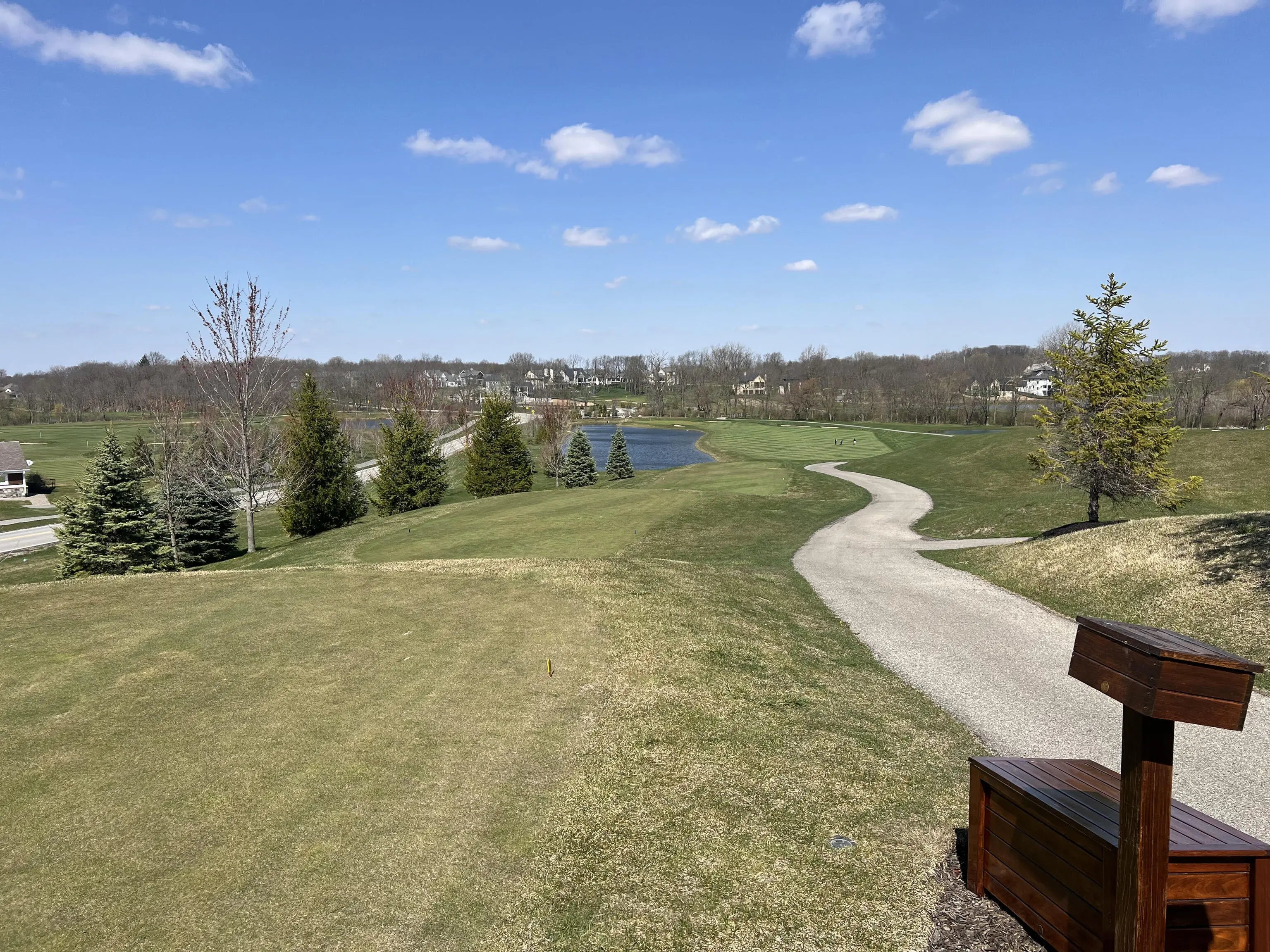 20360 Chatham Pointe Lane, Westfield