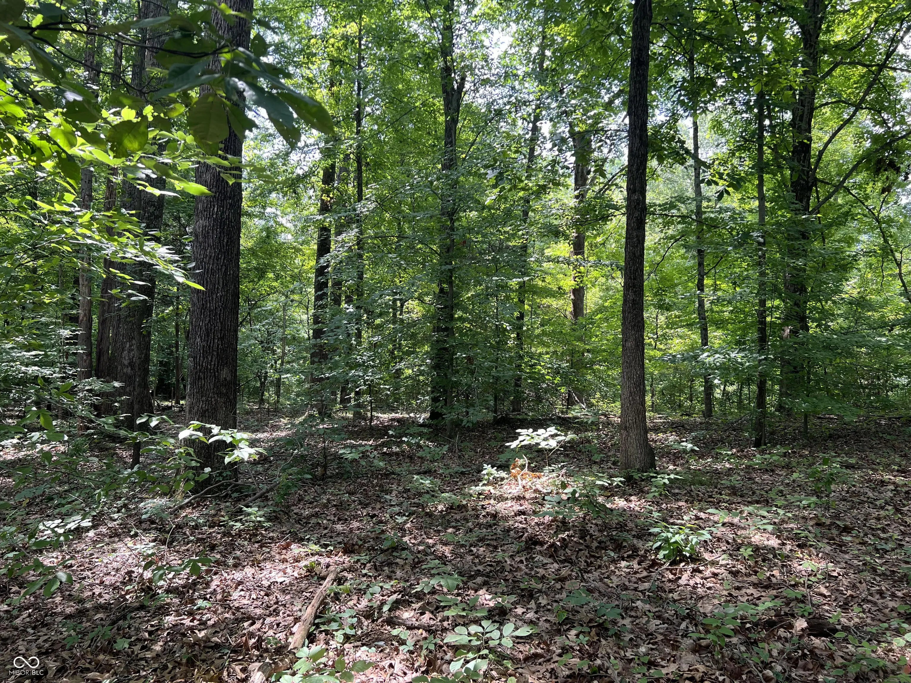 Photo of 3501 S Swartz Ridge Road Bloomington, IN 47401