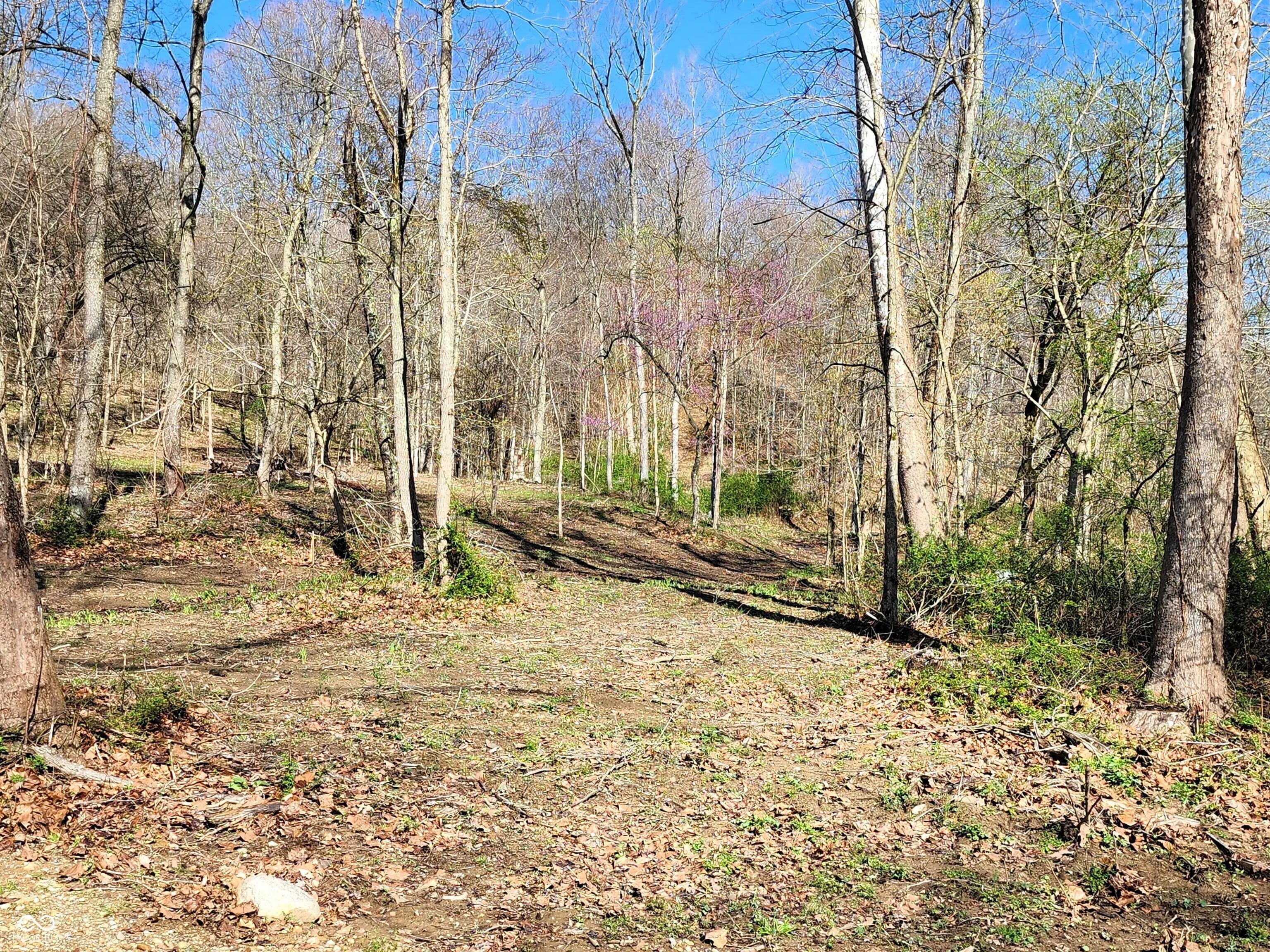Photo of Goat Hollow Estates Lot 4 Martinsville, IN 46151