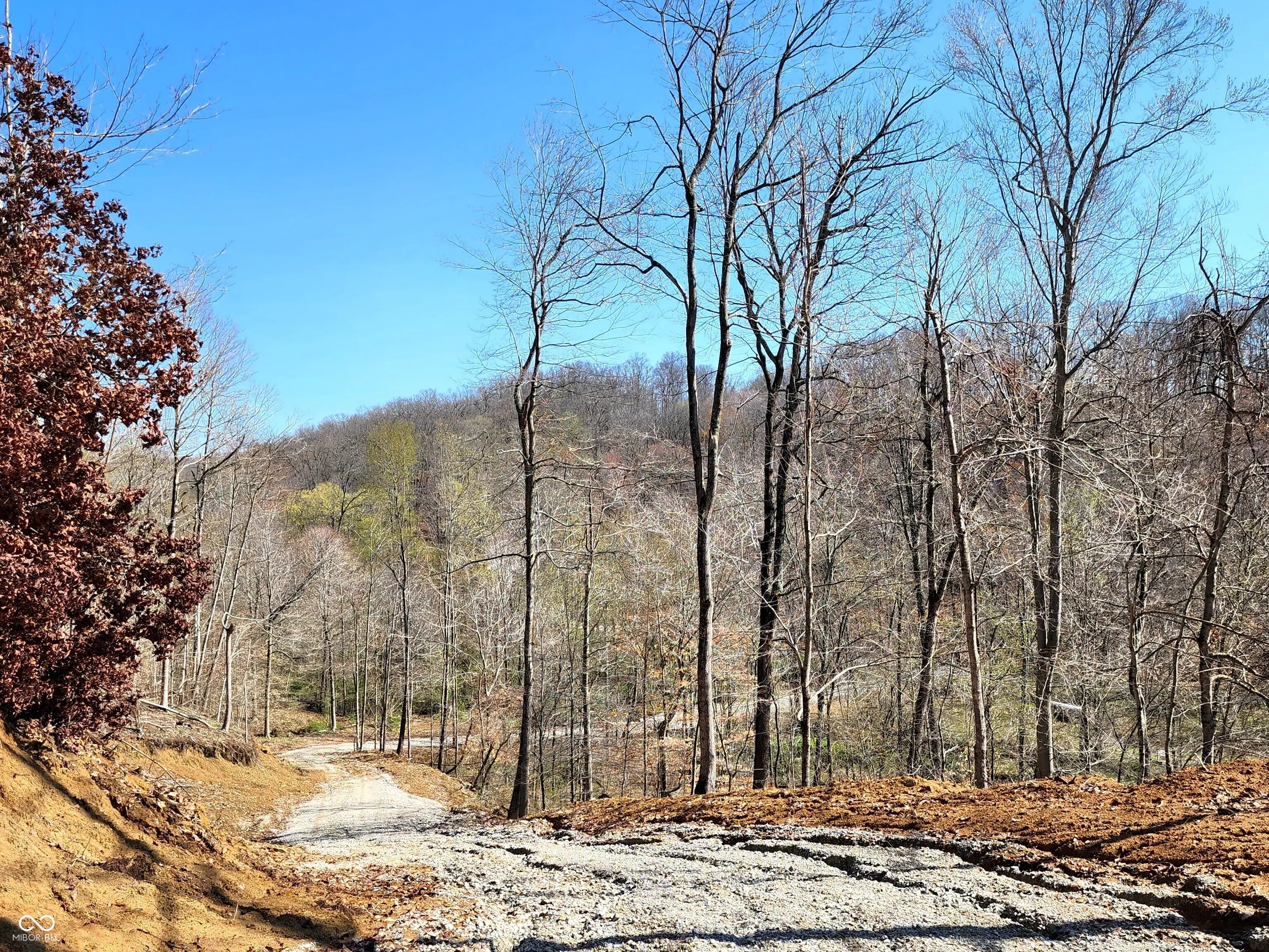 0 Goat Hollow Estates Lot 1, Martinsville
